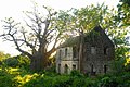 Ruïne van Montravers Estate en een baobab-boom