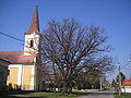 Katholische Kirche