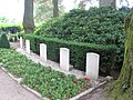 War graves at the cemetery of Sint-Oedenrode