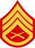 three chevrons up and one down with crossed rifles