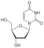 structure chimique de la désoxyuridine