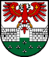 Wappen von Wiesing