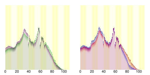 Bevolkingsdiagram