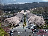 冨士霊園（静岡県小山町）