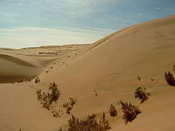 Gobiöknen i Inre Mongoliet.