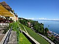 Le lac de Constance vu depuis Meersburg.