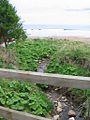 Stream from the Spout, Coldingham Sands