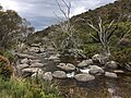 Thredbo River upstream of Thredbo Village