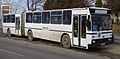 Image 260DAC 117UD articulated bus in Uzinelor, Romania, June 2008 (from Articulated bus)