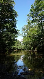 Sur Saint-Étienne-le-Molard