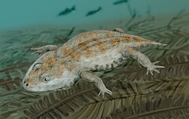 Amphibamus