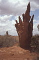 Termitières en Somalie.