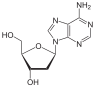 Chemical structure of deoxyadenosine