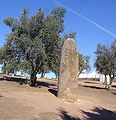 Menir dos Almendres, en Évora, e Portugal