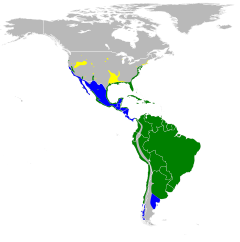      Nidificación      Invernada      Todo el año