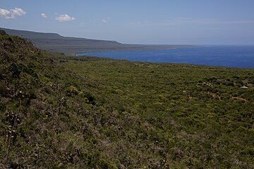 Terrasses naturelles marquant les courbes de niveau