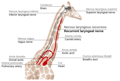 Figure 2f