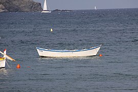 La bette Brutus, de l'anse de Paulilles des Pyrénées-Orientales.