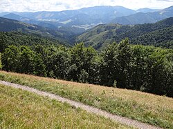 Pohled do údolí ze hřbetu mezi Skalnou Alpou a Tanečnicou