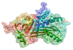 Α-1-Antitrypsin