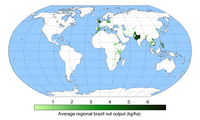 A world map showing regions that produce Brazil nuts.