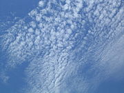 Cirrocumulus