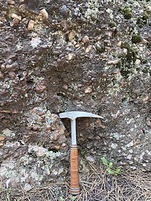 A poorly-sorted, clast-supported, pebble-to-cobble, quartzic conglomerate sits on a bed of pine needles, with a rock hammer propped in front for scale. Section shows the typical Deadwood Fm coloring of pinkish-red.