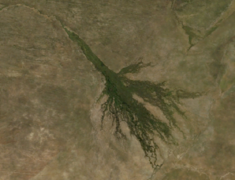 Ima(ge satellitara de dèlta d'Okavango