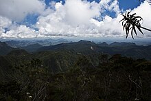 Une vue depuis le sommet montrant les montagnes alentours et la végétation plus basse.