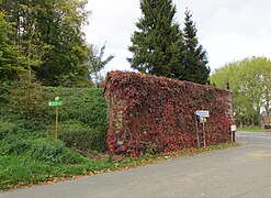 Les vestiges du « pont du fer » de Guise en 2017.