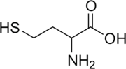 Skeletal formula