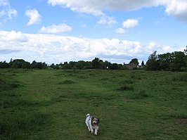 Rodway Hill, Mangotsfield