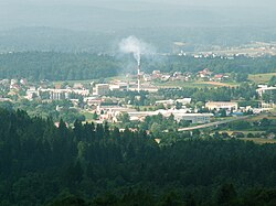 Bršljin from Trška Gora