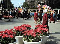 Nybroplan ve Stockholmu, 1953, Kodachromefilm