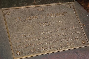 Henry Cowell Redwoods State Park, Redwood Grove. The plaque in front of the Coast Redwood tree inside of which Lt. John. C. Fremont camped in 1846.