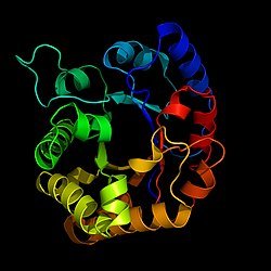 Triosephosphatisomerase