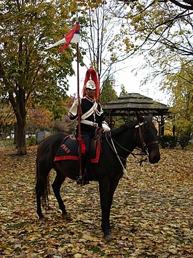 Image illustrative de l’article The Governor General's Horse Guards