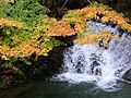 花貫渓谷の汐見滝（2009年11月20日撮影）