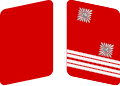 SA Gorget patch