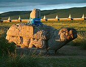 Fotografía dun campo cunha gran tartaruga de pedra