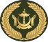 Warrant Officer Class 1