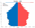 Thumbnail for Demographics of Istanbul