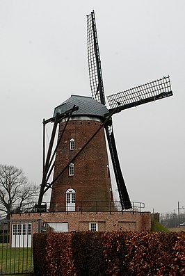 De molen anno 2012