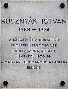 István Rusznyák