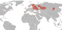 Distribución da H. minutus