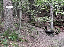 Pfälzer Waldpfad am Burgalbsprung