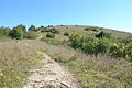 La Côte pelée, à Chasteaux (Corrèze).