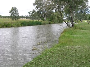 Condamine Nehri, Warwick, 2009