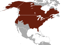 Distribución da especie