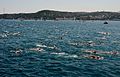 Pack of swimmers at the 2016 Swim.